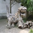 <苏州园林1日B线>含狮子林,虎丘,北寺塔,水上游,寒山寺