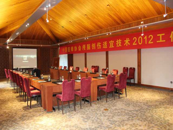 中国医师协会颅脑创伤适宜技术论坛会场 中国医师协会颅脑创伤适宜技术论坛会场